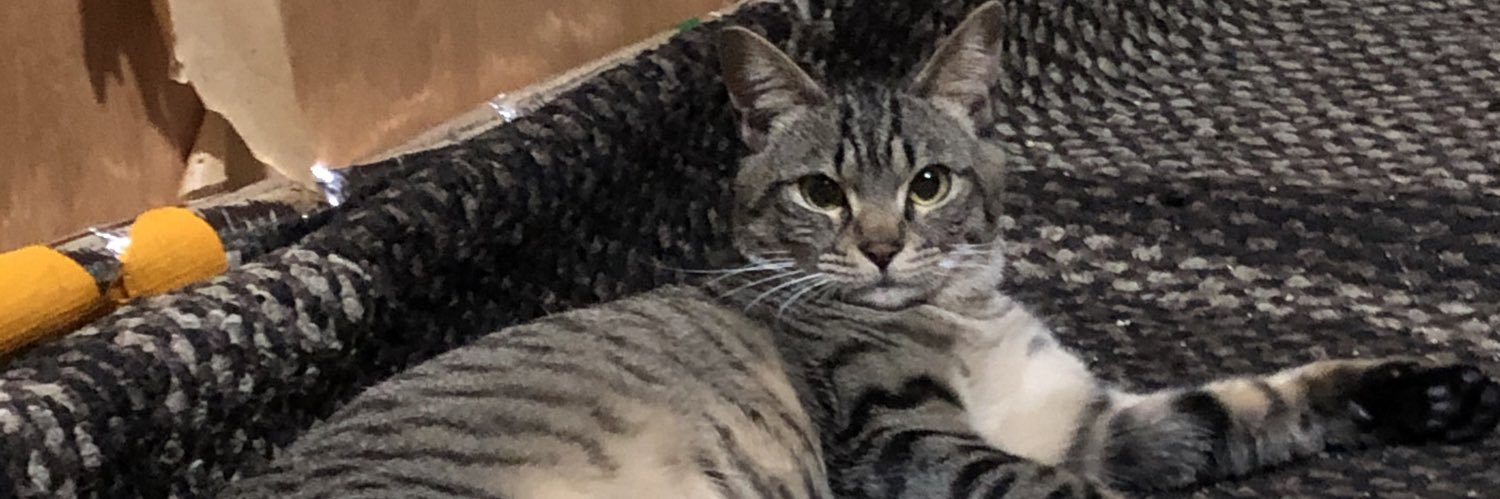 takimotoooooooo's profile banner image