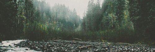 Sven__ng's profile banner image
