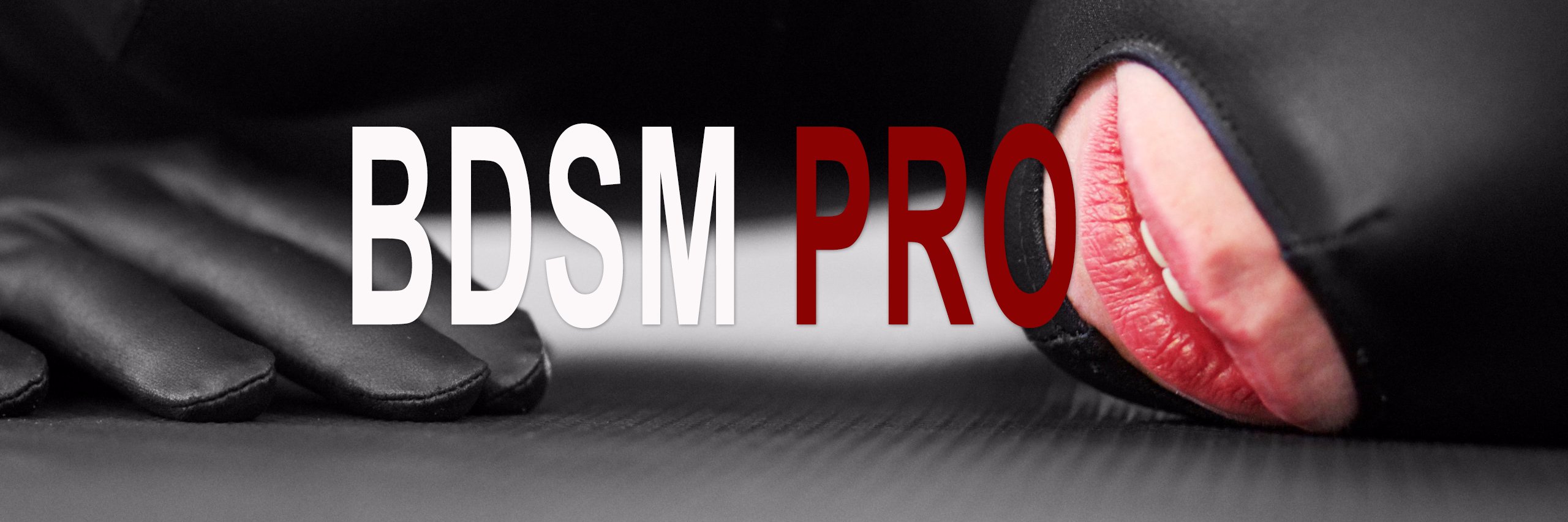 BDSM Pro banner