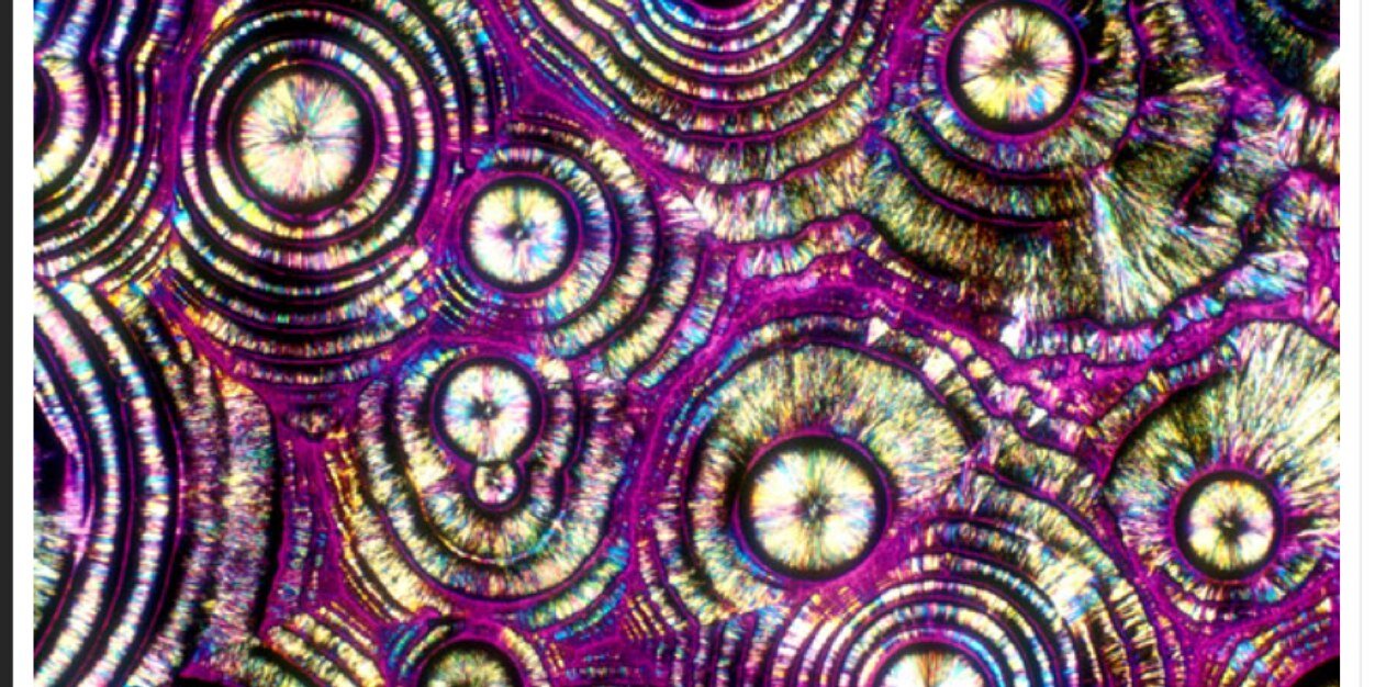 leto1979's profile banner image