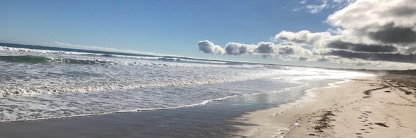 tildydarling Profile Banner