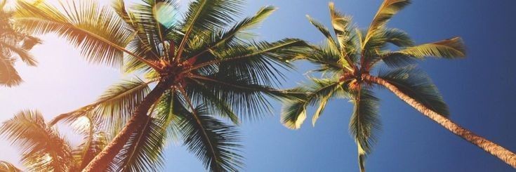 OS banner