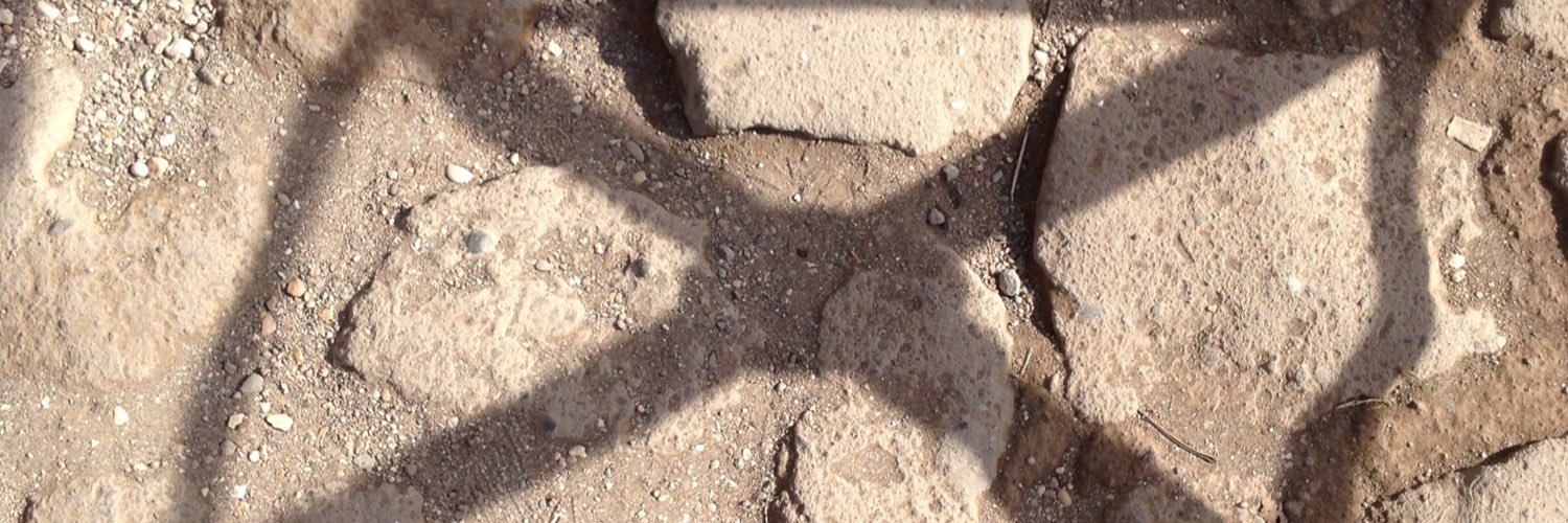 SmolanderLea's profile banner image