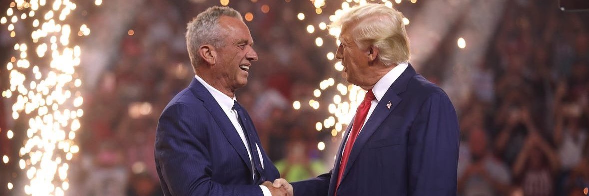 Hedgy 🇺🇸 banner