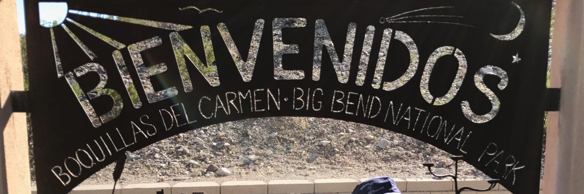 Misty M"ask Up" Kirby, Ph.D., Senior Fellow HEA banner