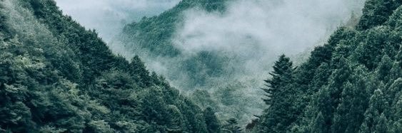 RishelJane's profile banner image