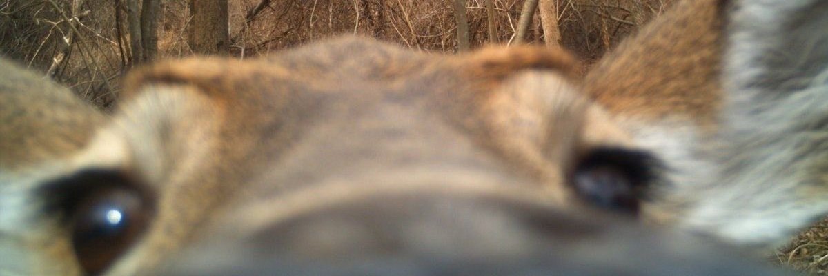 moo_manuu's profile banner image