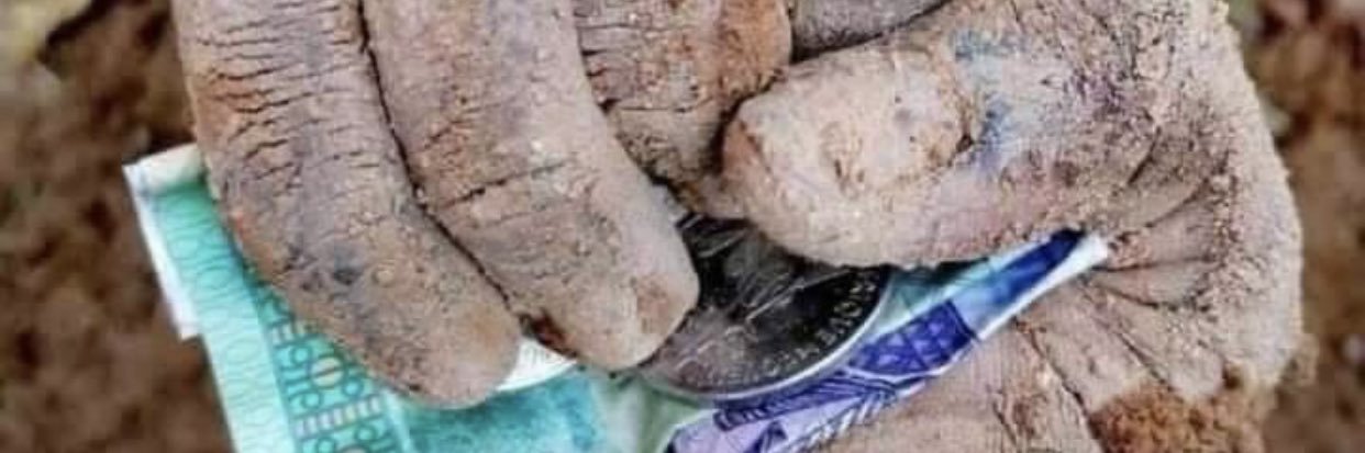 Morel🇨🇮⭐️⭐️⭐️ banner