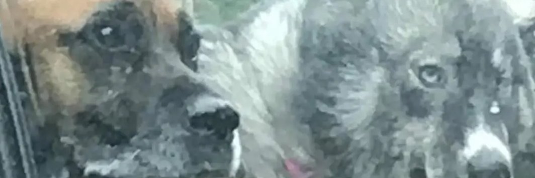 FloydSack's profile banner image