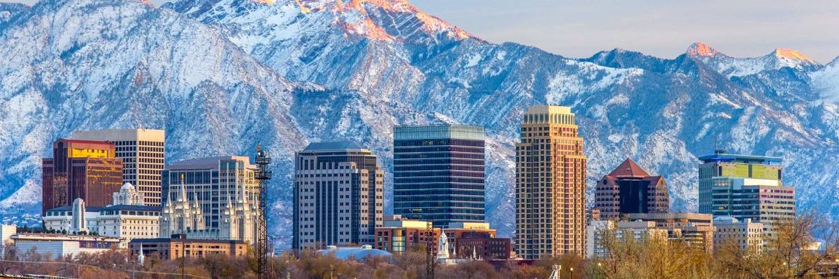 syd_kedd's profile banner image