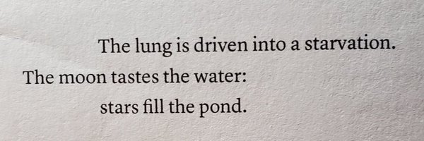 Michael_Akuchie Profile Banner