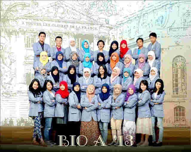 Dian Nur Rahmawati banner