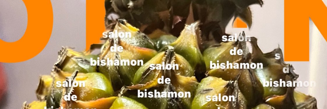 salondebishamon's profile banner image