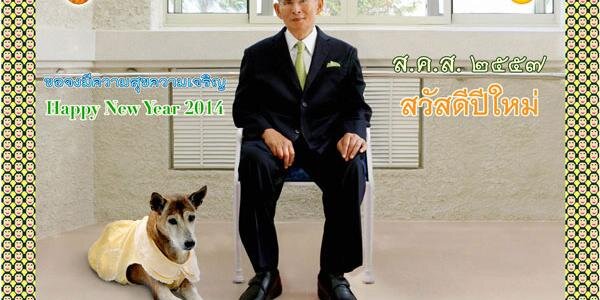 webthaiday's profile banner image