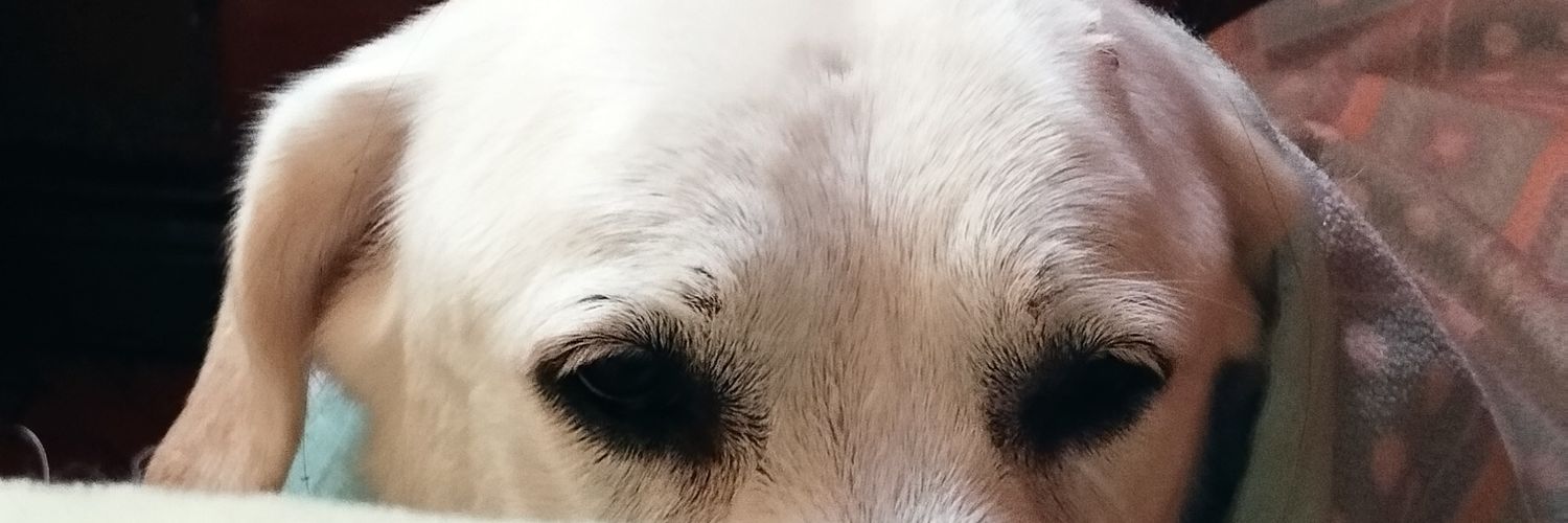 mari_ banner
