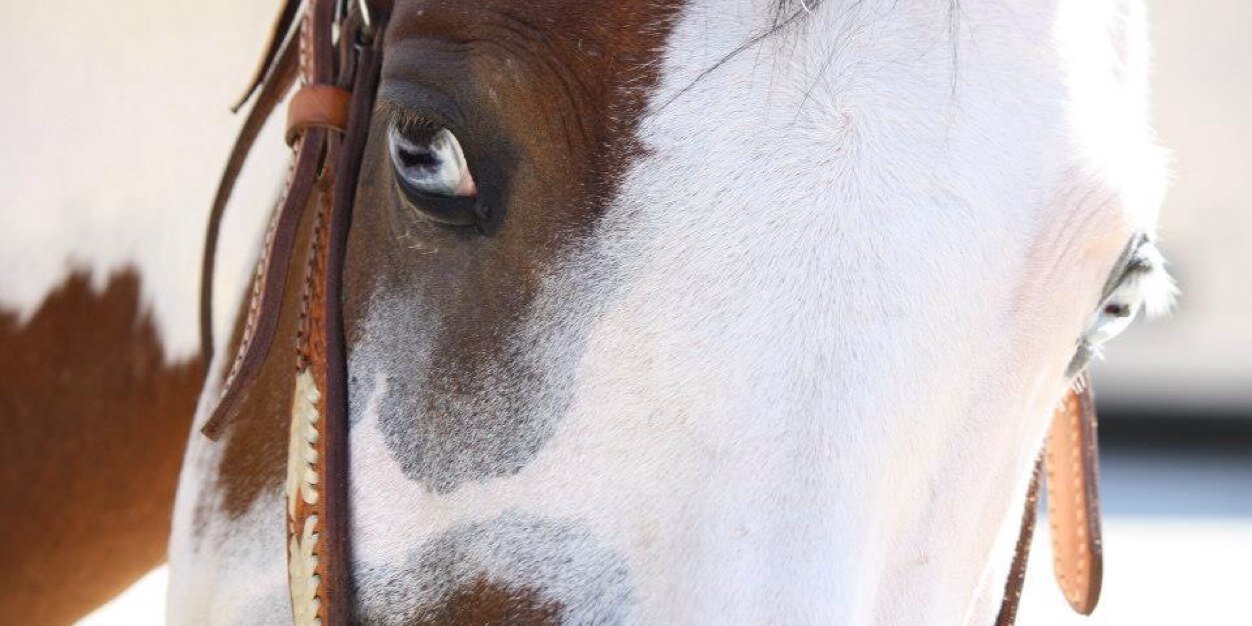 Countryriding's profile banner image