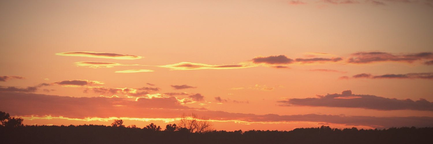 asm1298's profile banner image