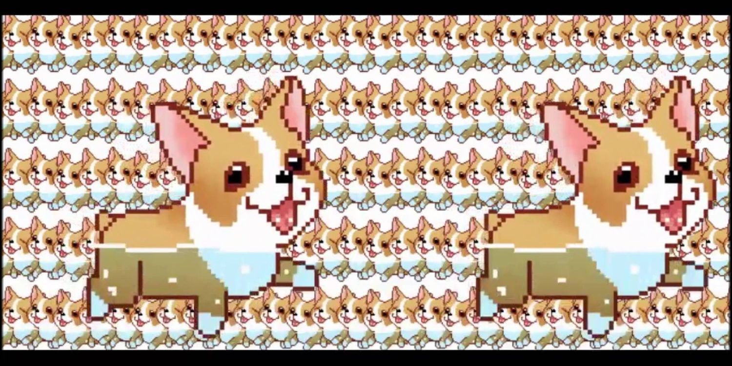 ProfessorCorgi's profile banner image