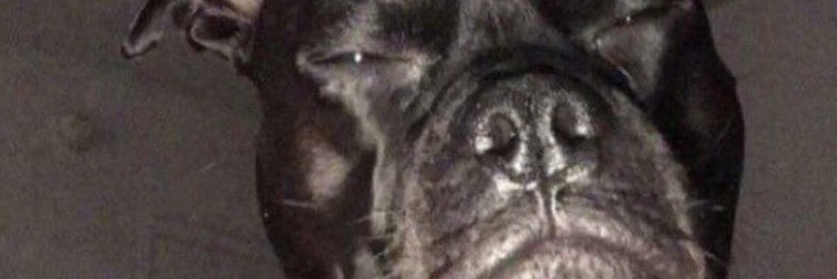 DatGuy_BigRob's profile banner image