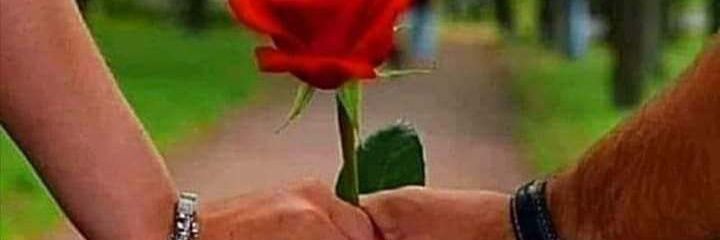🇮🇶🇮🇶سلمى 🌹محمد🌹عبد الله 🇮🇶🇮🇶 banner