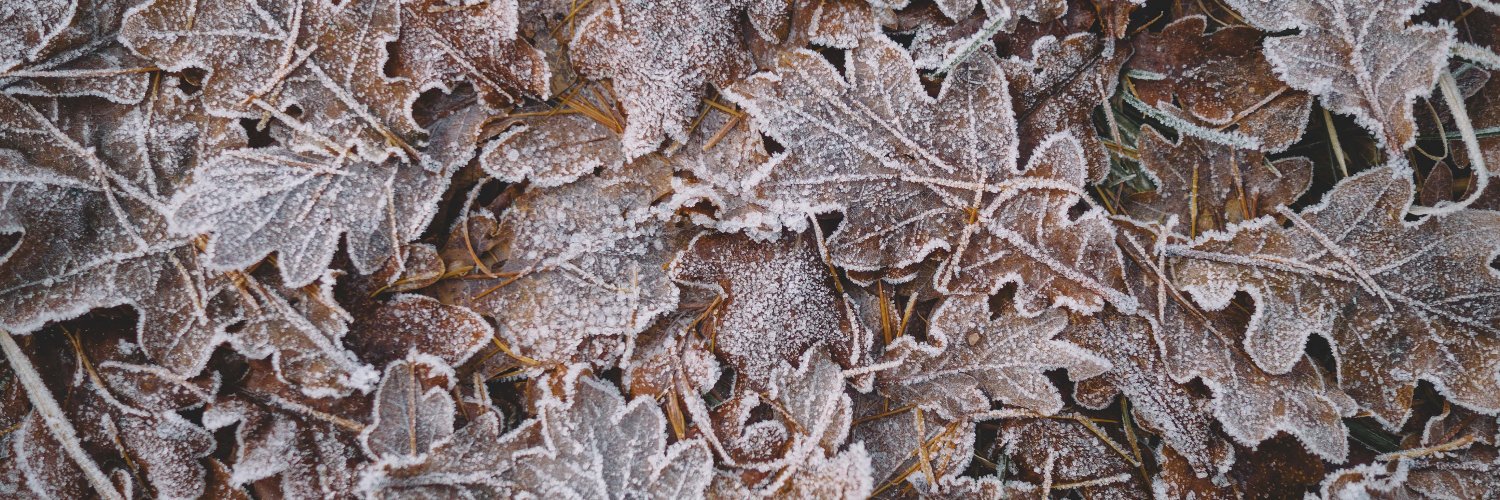 Load Bearing Waffle banner