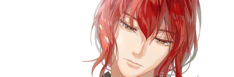 新芬 banner
