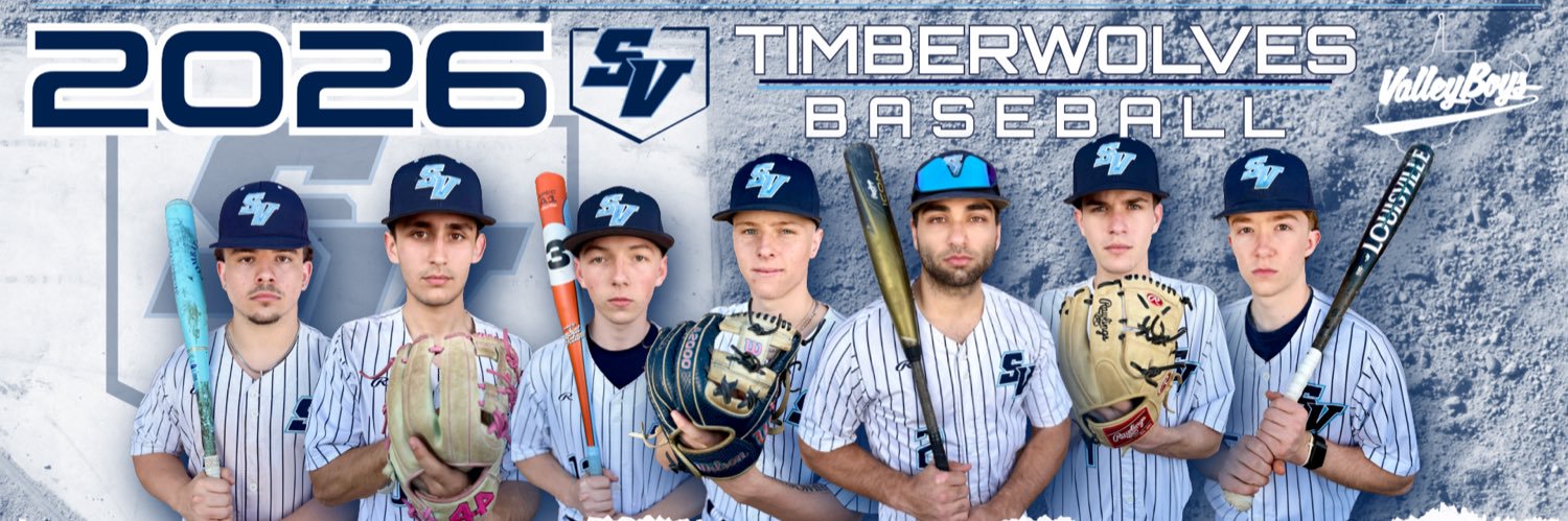 ValleyBoys_BSBL banner