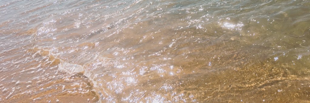 usagi_yu_sa's profile banner image