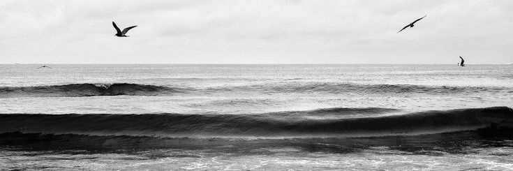 ❦ banner