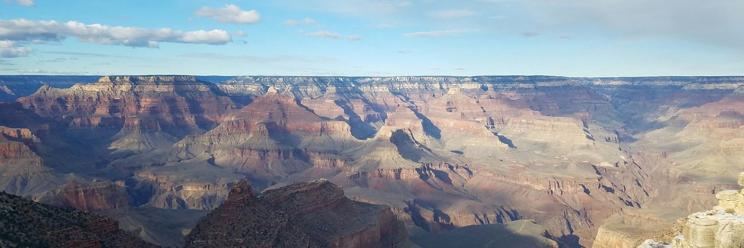 natalien7928's profile banner image