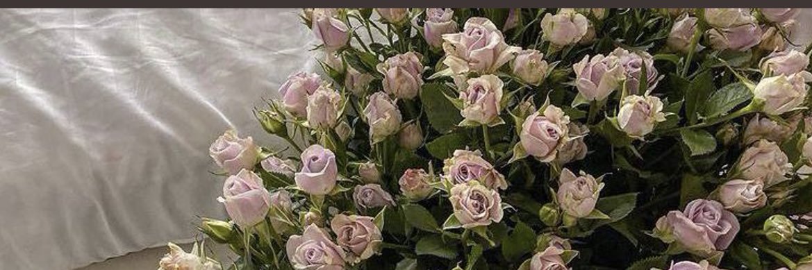 fff89088's profile banner image