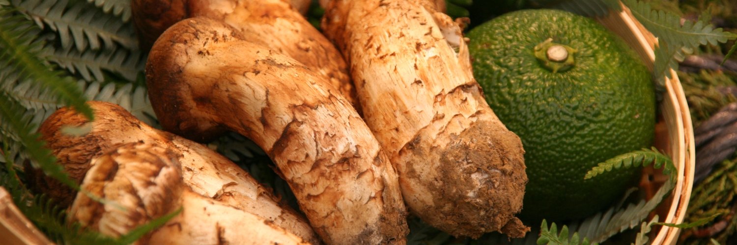 松本タケシ(Takeshi Matsumoto) banner