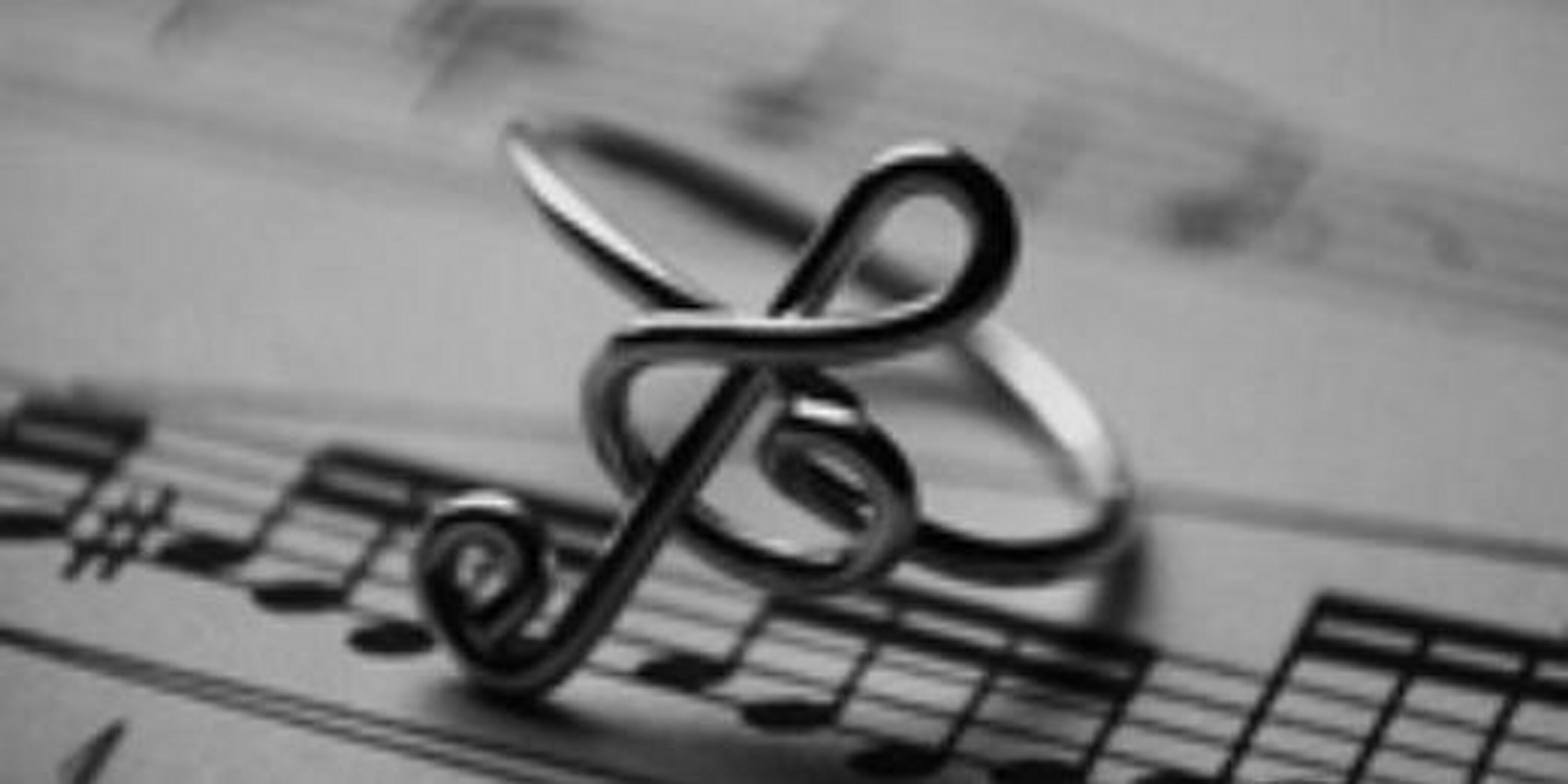DerekWarbler's profile banner image