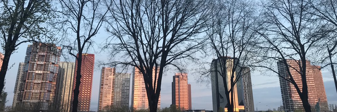 Corrupteed's profile banner image