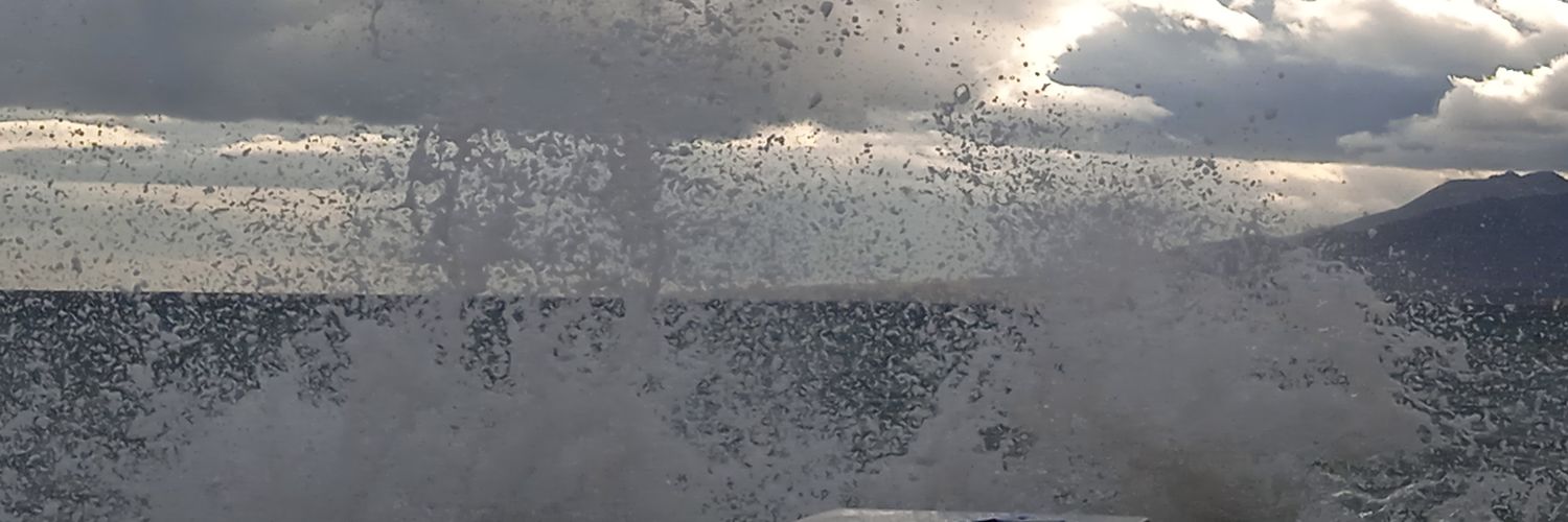 mtmorilla33's profile banner image