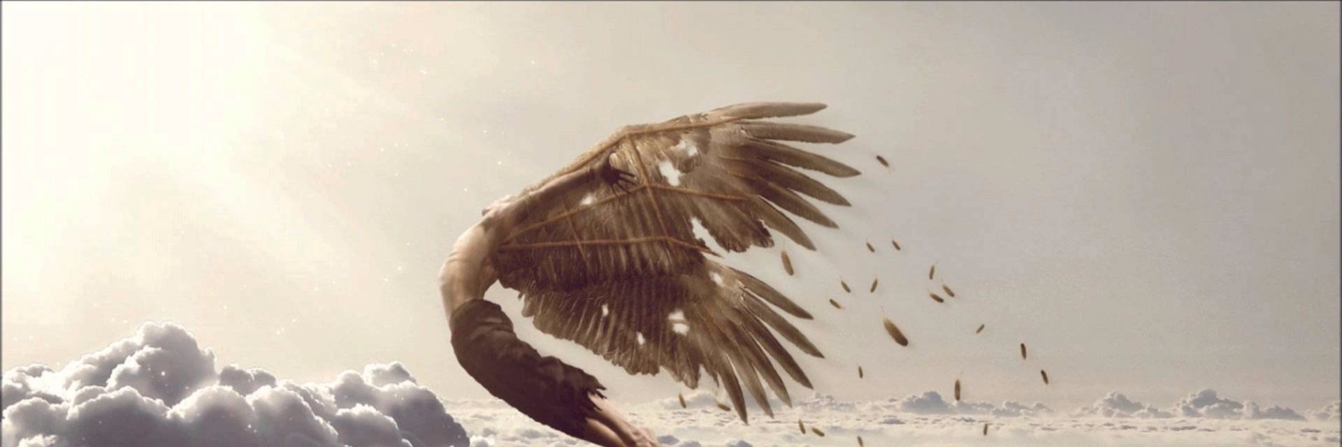 Iccaius's profile banner image