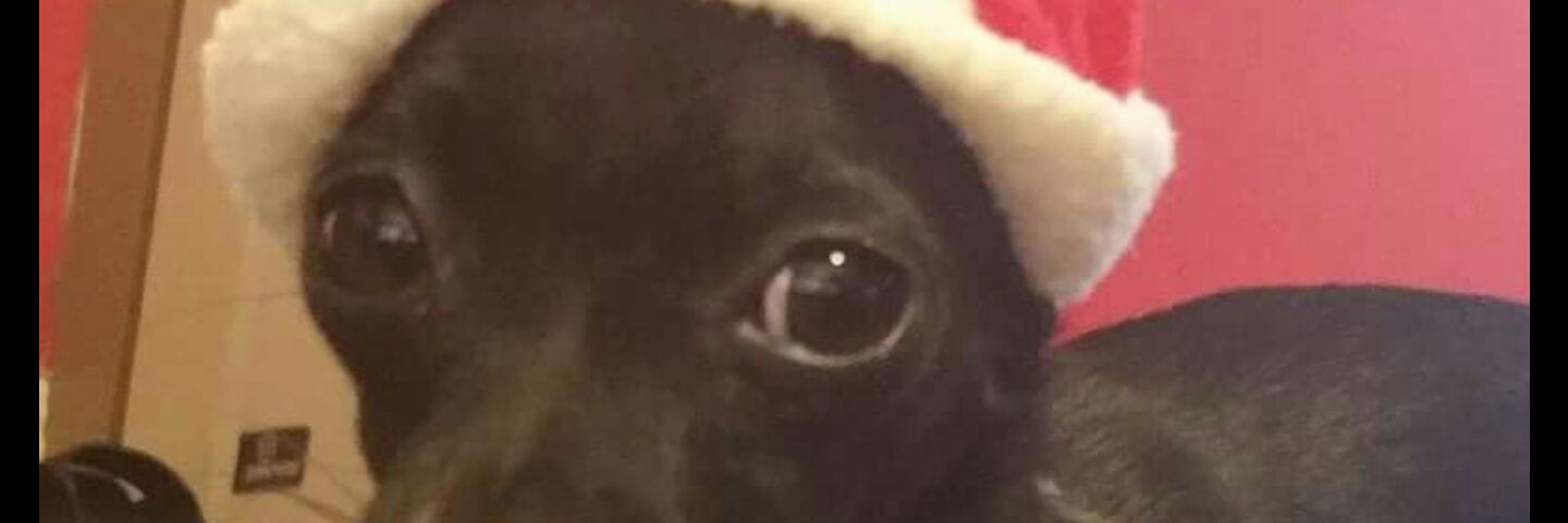 nailsavy's profile banner image
