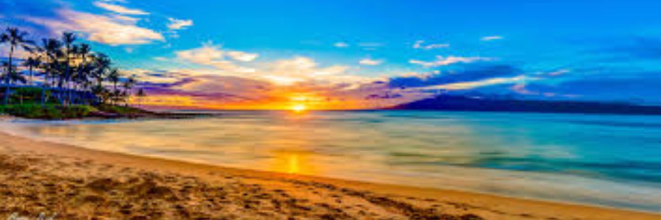 PlunkettPool's profile banner image