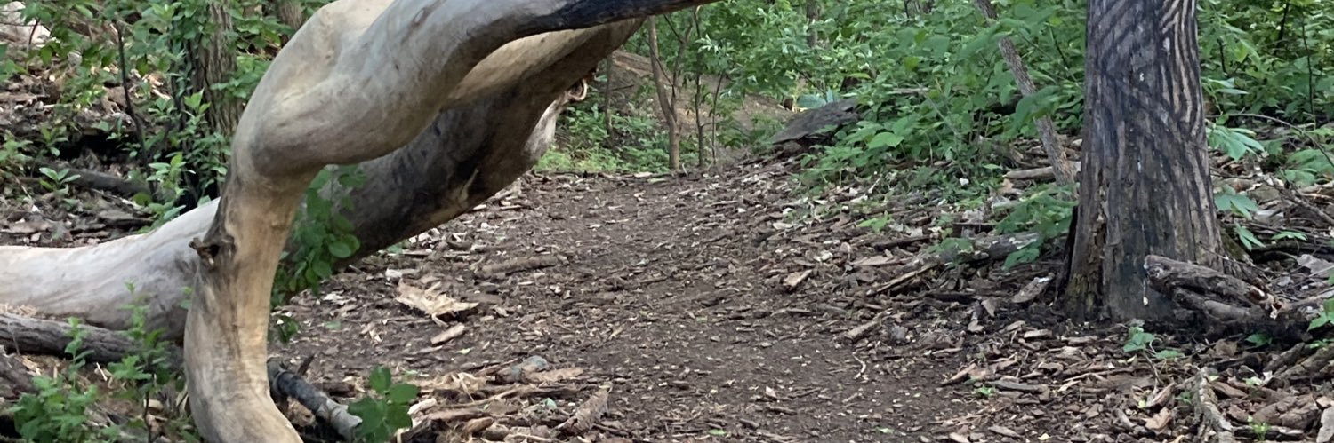 DeronLarson's profile banner image