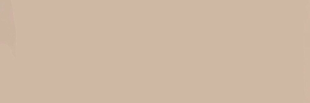 t_snoi's profile banner image
