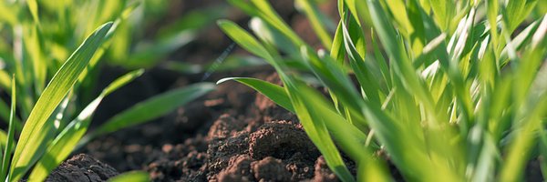 PrairieCCA Profile Banner