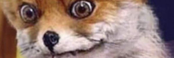 MyBeardBeLike_ Profile Banner