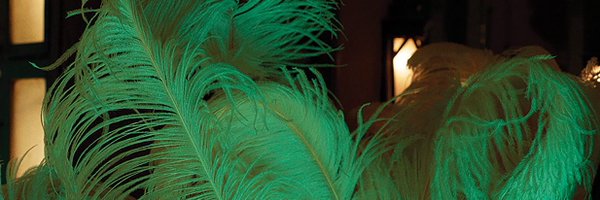 alltooriah Profile Banner