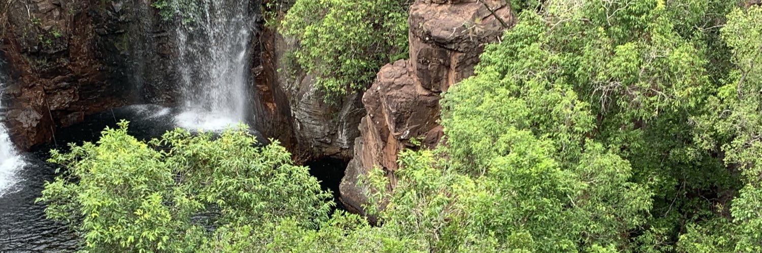 Candice McKenzie banner