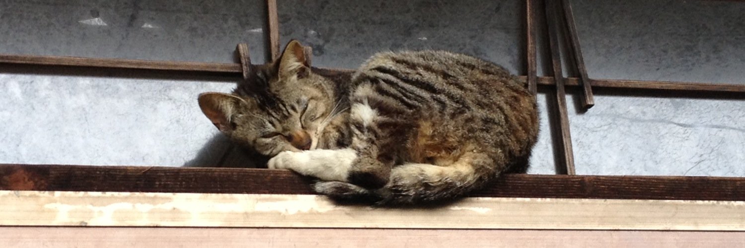 ミキティア banner