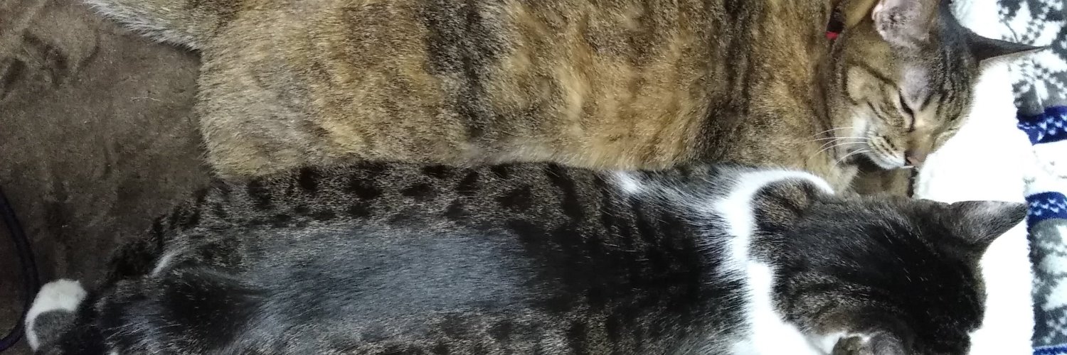mayria's profile banner image