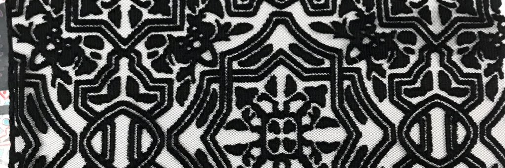 Cecilia Chanu banner