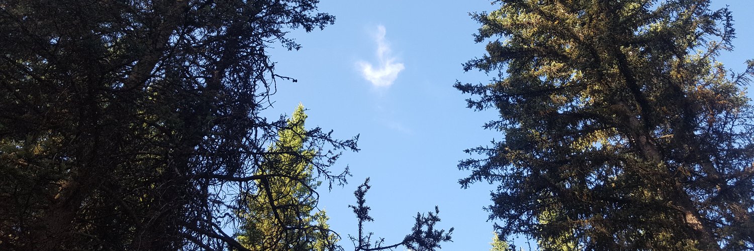 Daryl banner