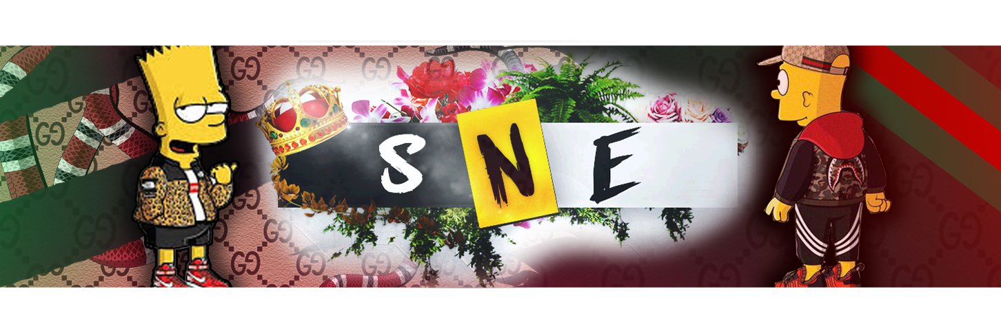 SNE on YouTube banner