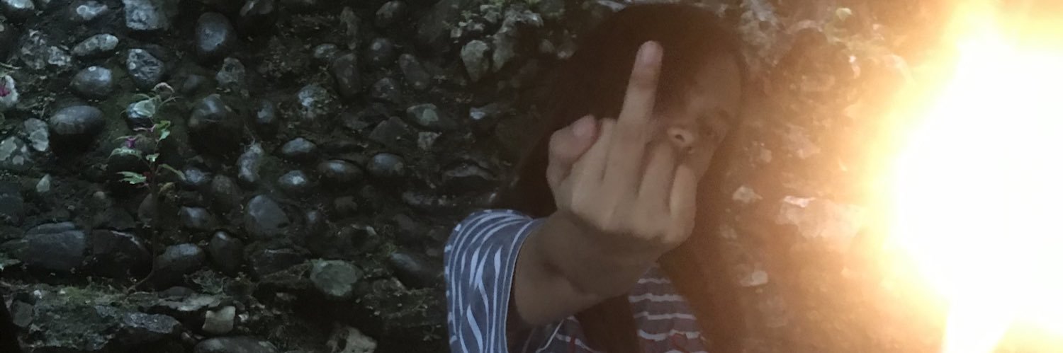 Ludiwijk's profile banner image